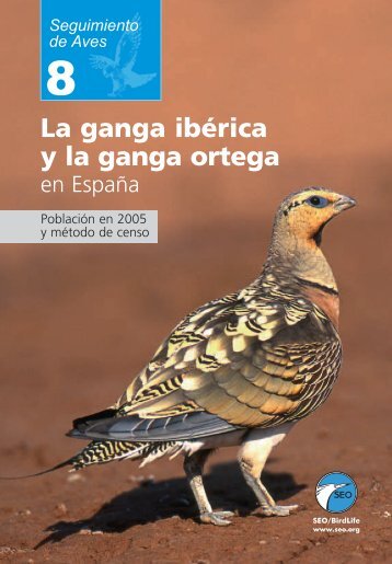 La ganga ibÃ©rica y la ganga ortega en EspaÃ±a - SEO/BirdLife