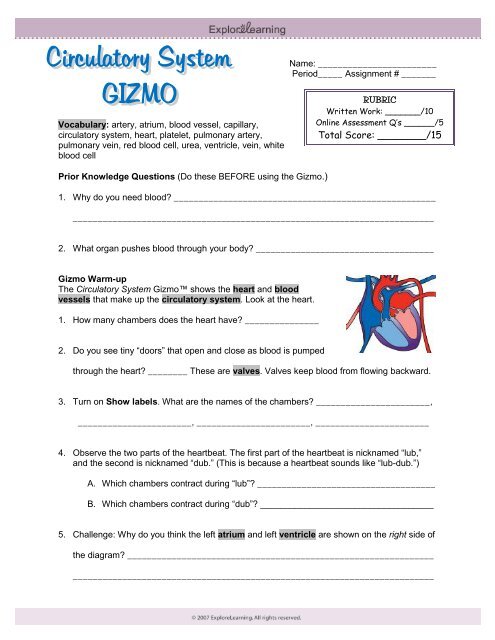 Circulatory System Gizmo circulationgizmo.pdf - Kent