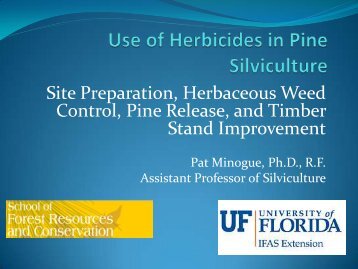 Patrick Minogue. 2011. Use of herbicides in pine silviculture