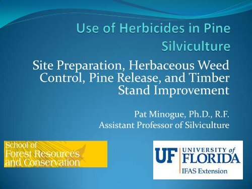 Patrick Minogue. 2011. Use of herbicides in pine silviculture