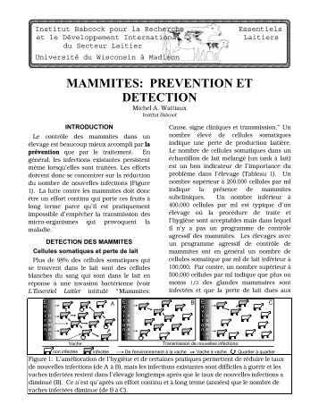 MAMMITES: PREVENTION ET DETECTION - Babcock Institute