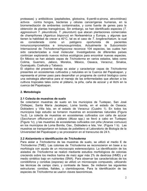 Aislamiento y caracterización de Trichoderma spp. de ... - UNPA
