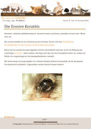 Die Erosive Keratitis - Kleintierpraxis Dr. Nina MÃ¼ller