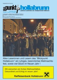 Raiffeisenbank Hollabrunn - NetTeam Internet