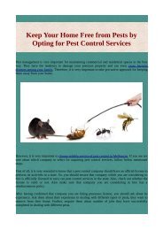 Keep Your Home Free from Pests by Opting for Pest Control Services