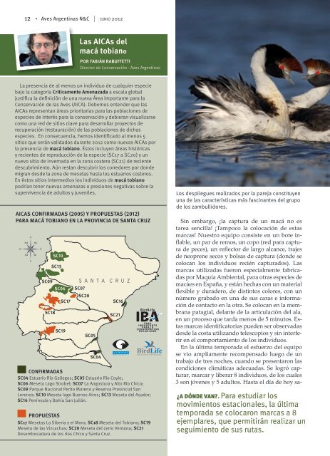 Descargar en formato PDF - Aves Argentinas