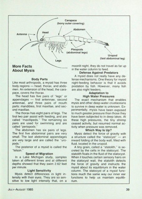 501 Extraordinary Journey of the Opossum Shrimp - webapps8