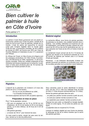 Bien cultiver le palmier Ã  huile en CÃ´te d'Ivoire - eRails