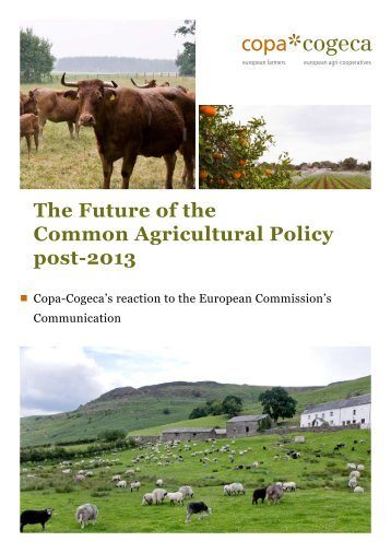 The Future of the Common Agricultural Policy post ... - Copa-Cogeca