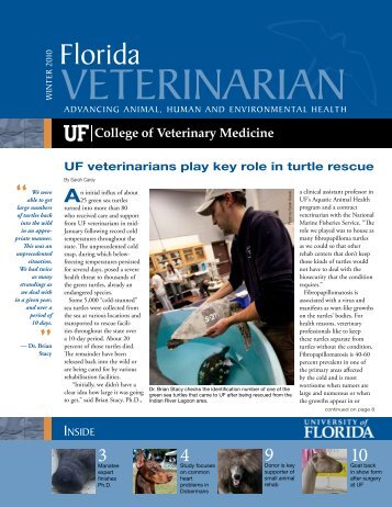 Florida Veterinarian, Winter 2010 (PDF) - University of Florida ...