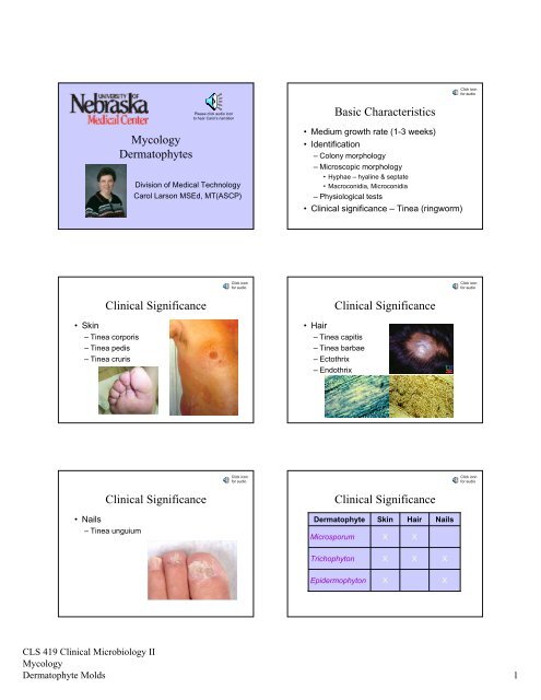 Mycology Dermatophytes Basic Characteristics Clinical ... - UNMC