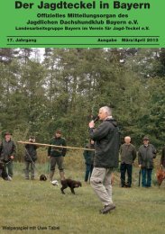 Der Jagdteckel in Bayern 2013-II - Jagdlicher Dachshundklub ...