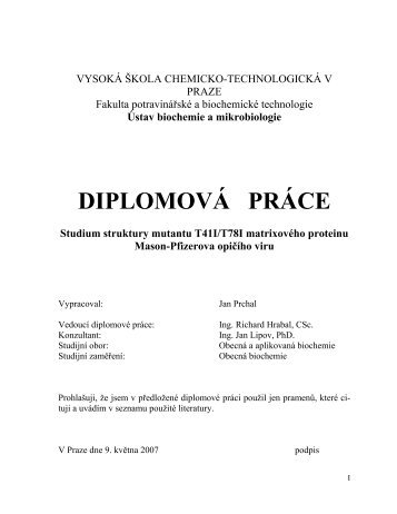 DIPLOMOVÁ PRÁCE - Vysoká škola chemicko-technologická v Praze