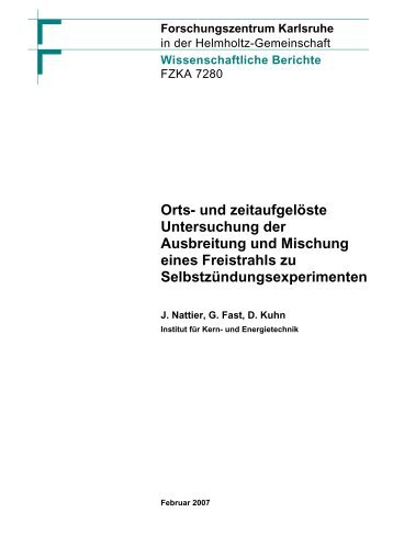 Orts- und zeitaufgelöste Untersuchung der Ausbreitung und ...