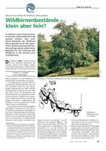 Originalartikel - Waldwissen.net