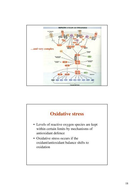 What Is A Free Radical - Ãstav lÃ©kaÅskÃ© chemie a biochemie