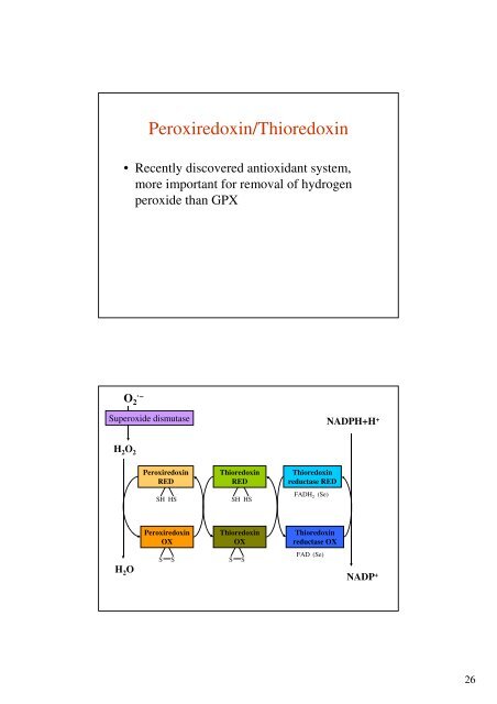 What Is A Free Radical - Ãstav lÃ©kaÅskÃ© chemie a biochemie