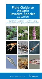 Field Guide to Aquatic Invasive Species - Ministry of Natural ...