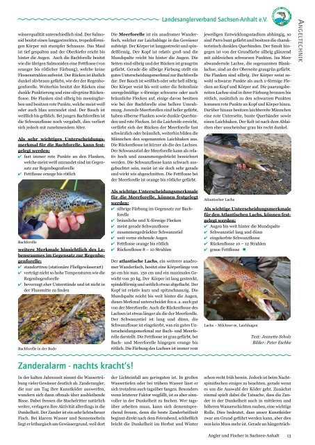 Angler und Fischer in Sachsen-Anhalt - Angelsportgemeinschaft ...