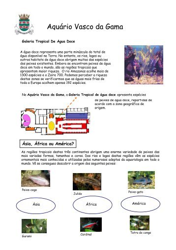 A riqueza dos rios e lagos tropicais - AquÃ¡rio Vasco da Gama