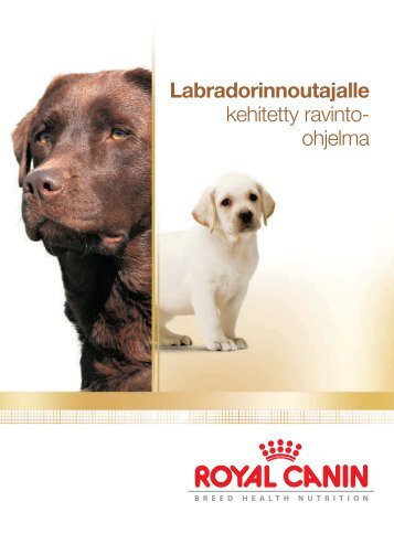 Labradorinnoutajalle - Breed Nutrition - Royal Canin