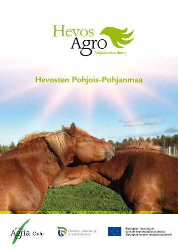 Hevosten Pohjois-Pohjanmaa -esite - ProAgria Oulu