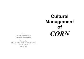 Cultural Management Corn - Darfu4b.da.gov.ph - Department of ...