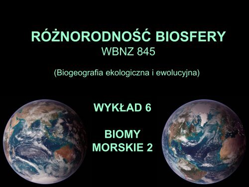 WykÅad 6 - pdf