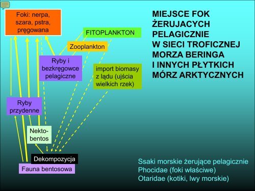 WykÅad 6 - pdf