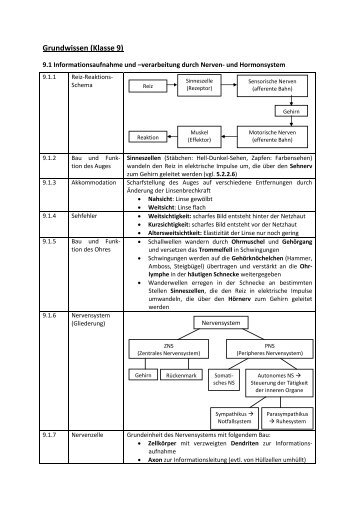 Grundwissenskatalog Biologie (Klasse 6)