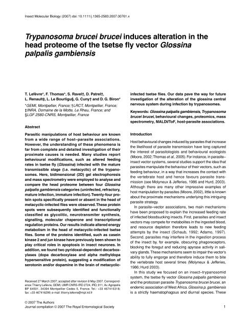 Trypanosoma brucei brucei induces alteration in the head ... - IRD