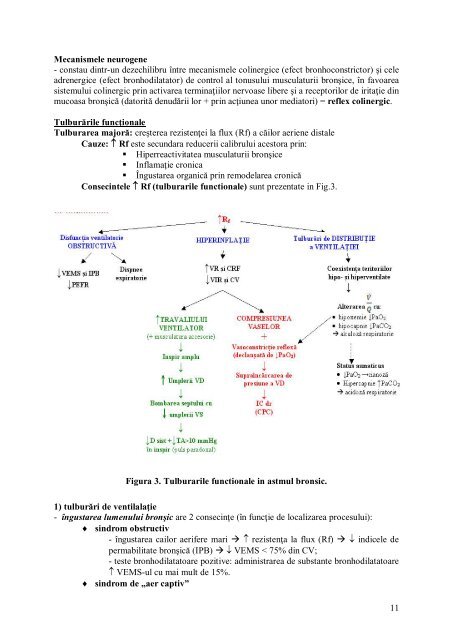 Curs respirator - OvidiusMD