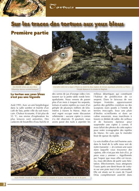 Sur les traces des tortues aux yeux bleus - Association du refuge ...