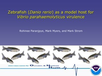 Zebrafish as a Model: Host for Vibrio parahaemolyticus Virulence