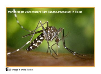 Gruppo di lavoro zanzare. Monitoraggio 2009 zanzara tigre