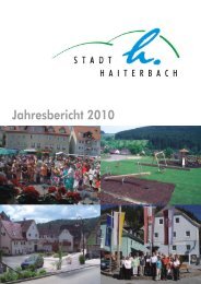 IV. Haushalts- und Finanzdaten - Stadt  Haiterbach
