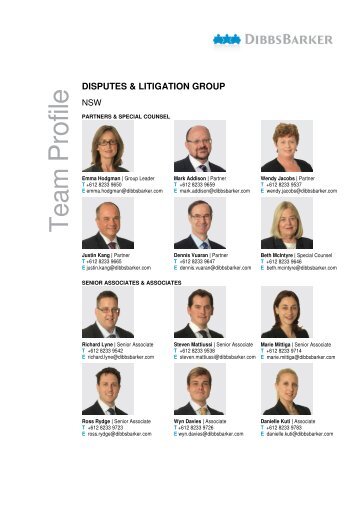 disputes & litigation group - DibbsBarker