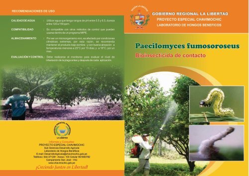 Paecilomyces Fumosoroseus - Proyecto Especial Chavimochic