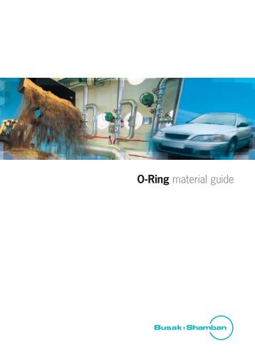 Busak+Shamban O-Ring Material Guide - Isiflo