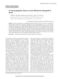 In vitro propagation of pecan [Carya illinoinensis ... - Wdc-jp.biz