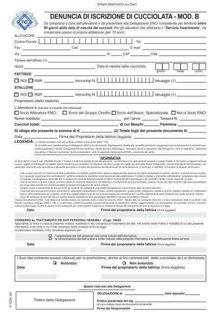 modello a enci modello a enci