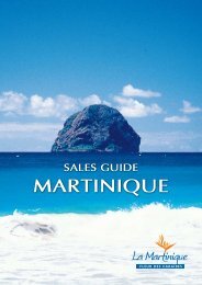 sales guide martinique