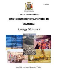 Energy Statistics Publication.pdf - Central Statistical Office of Zambia