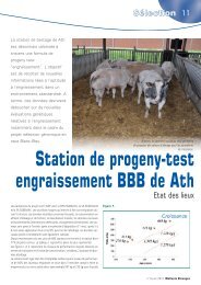 Station de progeny-test engraissement BBB de Ath - AWE