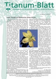 Ausgabe 31, April 2011 - Freundeskreis Botanische GÃ¤rten Bonn ...