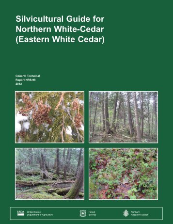 Silvicultural guide for northern white-cedar - Northern Research ...