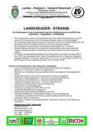 LANDESKADER - STRASSE - LRV Steiermark