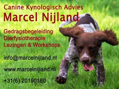 Marcel Nijland - Animal Event