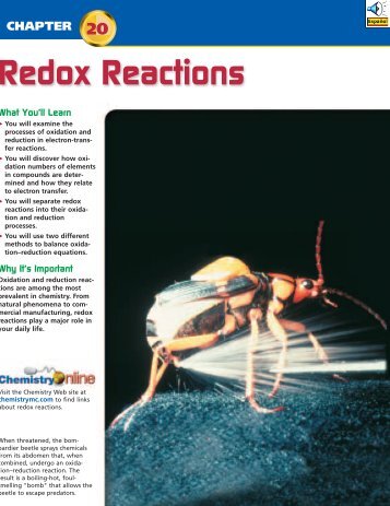 Chapter 20: Redox Reactions