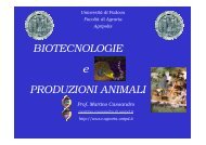 Scienze E Tecnologie Delle Produzioni Animali Universita Degli